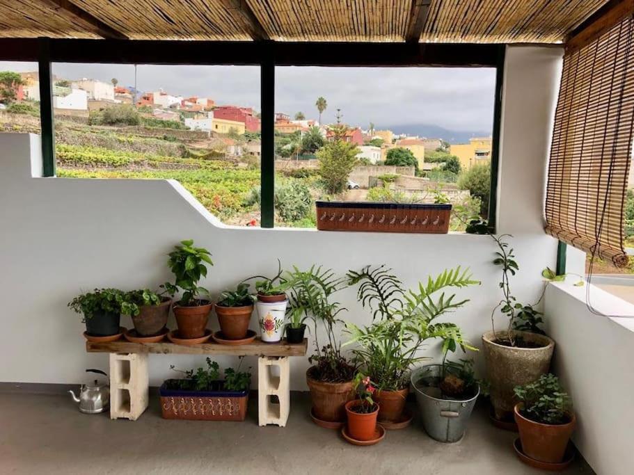 Finca Maranuela La Perdoma Luaran gambar