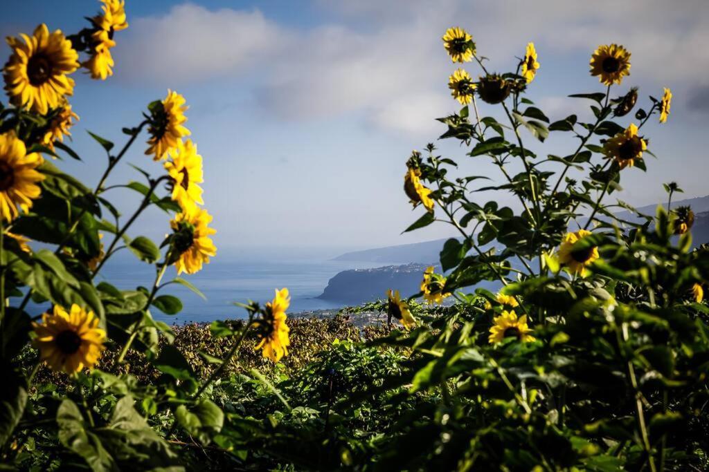 Finca Maranuela La Perdoma Luaran gambar
